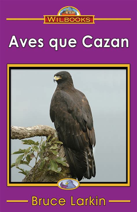 Sign up for free access to hundreds of brilliant stories, activities, and games. Free Online Books Spanish Second Grade: Wilbooks.com