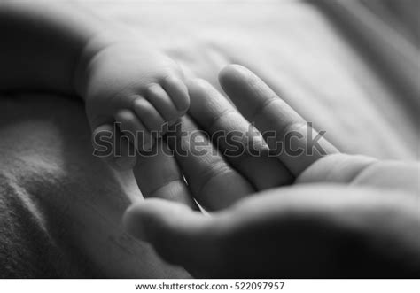 Baby Feet Hands Stock Photo 522097957 Shutterstock