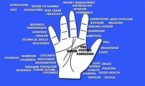 All About Palmistry An Introduction To Palm Reading Palmist Manish