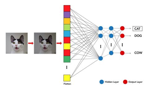 Deep Learning Is Revolutionizing Image Recognition By Orbofi Ai Medium