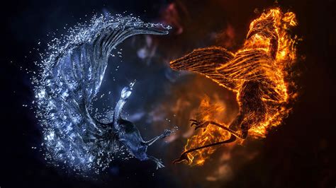 Fire And Ice Phoenix Bird Hd Fire Wallpapers Hd Wallpapers Id 67105