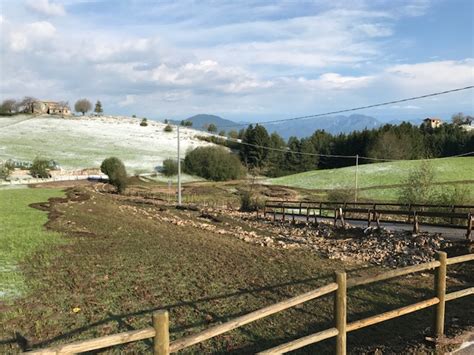Dal veneto orientale alla provincia di treviso violenta grandinata che ha imbiancato strade e le aree più colpite sono quelle di castelfranco veneto e quella di col san martino in provincia di treviso. Maltempo Veneto: forte temporale e grandinata a San Zeno ...