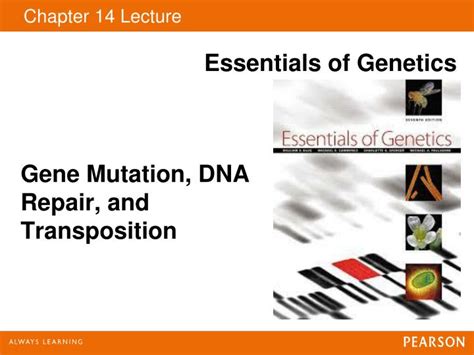 Dna error in replication date: PPT - Gene Mutation, DNA Repair, and Transposition ...