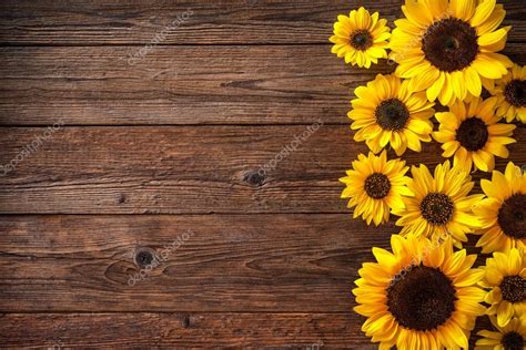 Sunflower Sunflower Wood Background Images For Nature Or Garden Themes