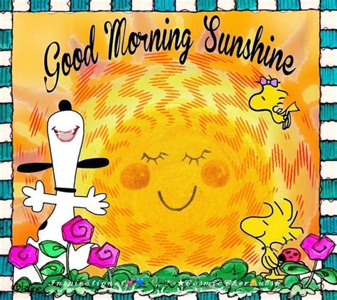 The best memes from instagram, facebook, vine, and twitter about morning sunshine meme. Good Morning 🌞 Sunshine! Video in 2020 | Good morning snoopy, Funny good morning memes, Cute ...