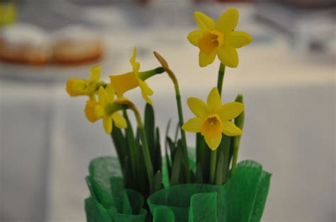 Haus & garten is a premium home and garden retail brand based in the usa. Haus & Garten 2014 in Wr. Neustadt