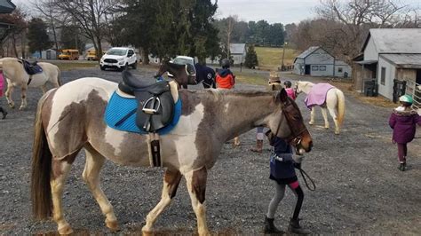 Horseback Riding Lesson Program In Germantown Maryland