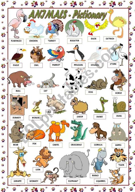 Animals Pictionary Esl Worksheet By Mariaolimpia