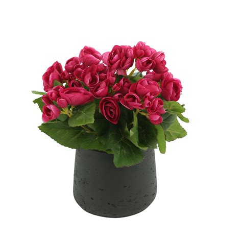 Creative Displays Inc Begonia Floral Arrangement Wayfair