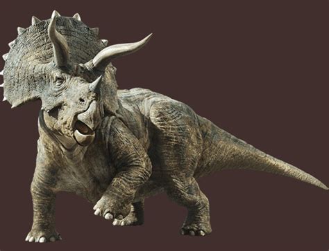 Triceratops Jurassic Park