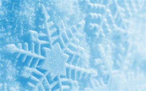 Wallpaper Trail Snow Winter Blue Snowflake 2560x1600