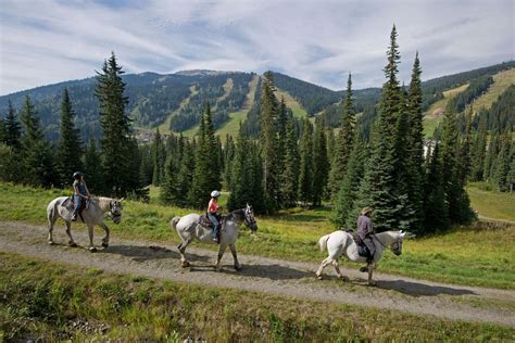 Horseback Trail Rides And Riding Lessons Sun Peaks Resort