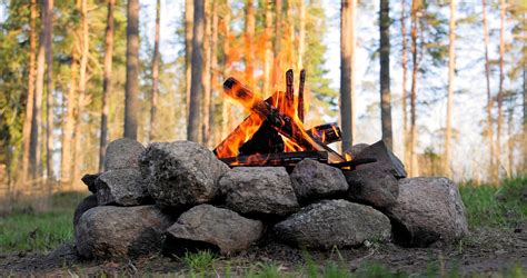 Premium Photo Burning Campfire In The Forest