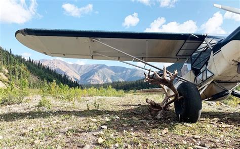 Merchant Stories Airframes Alaska Volusion