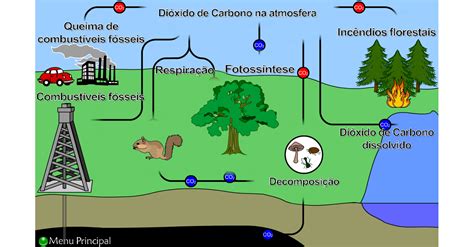 Enem O Ciclo Biogeoquímico Do Carbono