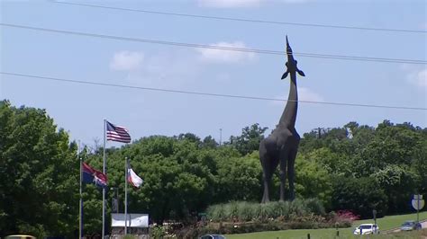 Dallas Zoo To Offer 1 Admission At Annual Event Nbc 5 Dallas Fort Worth