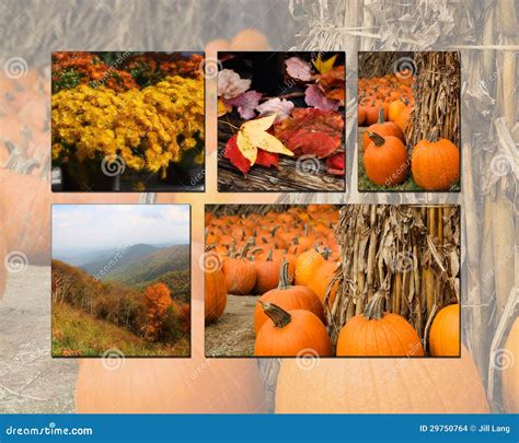 Autumn Collage Stock Photo Image Of Pumpkins Mountains 29750764