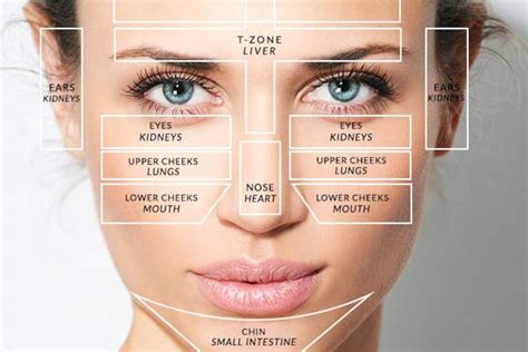 Acne Face Map Can Understanding It Help Reduce Your Acne
