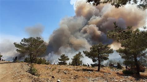 Türkiye de orman yangınları bitmiyor