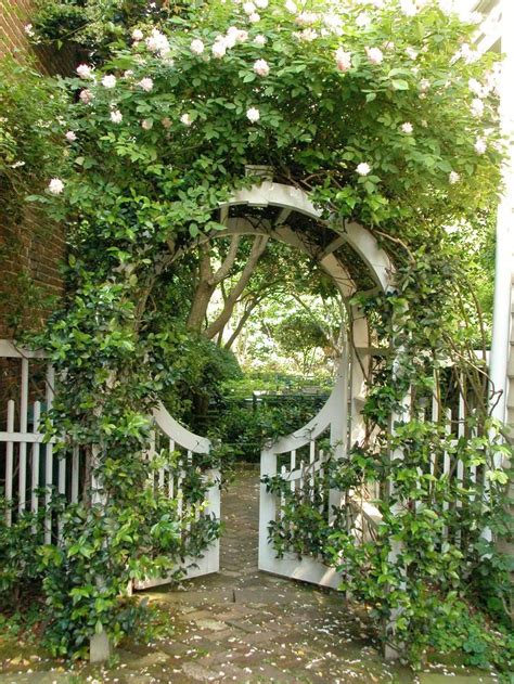 Beautiful Gate and Trellis - Historic Charleston (avec ...