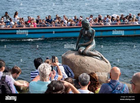 The Little Mermaid Statue In Copenhagen Denmark Europe Stock Photo