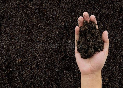 Soil In Hand With Earth Background Environment Concept Stock Image