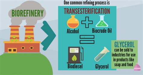 Everything About Bioenergy Infographic Wordlesstech