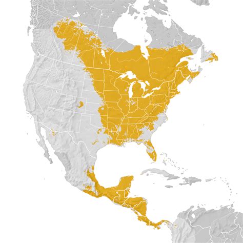 Philadelphia Vireo Range Map Post Breeding Migration Ebird Status