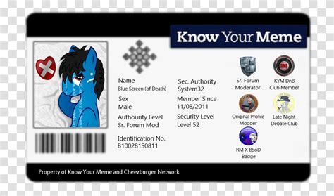 Know Your Meme Dnb Name Blue Screen System32 Sex Male Identification Card Blank Hd Id Cards