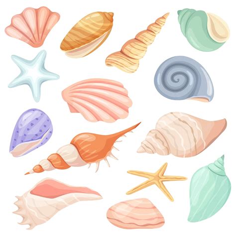 Premium Vector Cartoon Seashells And Starfish Tropical Ocean Seashell