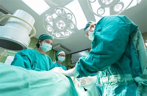 Gross anatomy online now, exclusively on accessmedicine. App predicts risk of developing hernia following abdominal ...