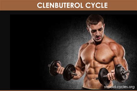 Winstrol Cycle Best Cutting Steroids Cycle For Men And Women 2020