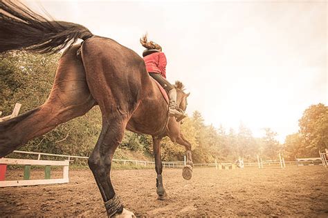 530 Women Eventing Stock Photos Pictures And Royalty Free Images Istock