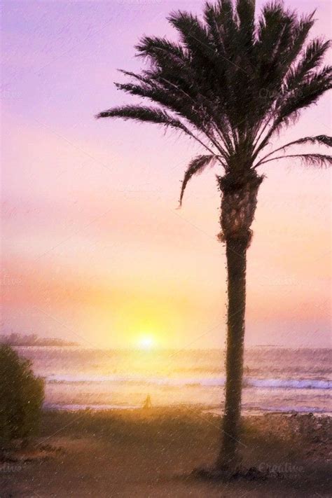 Palm Tree Bright Sunset Palm Trees Sunset Palm