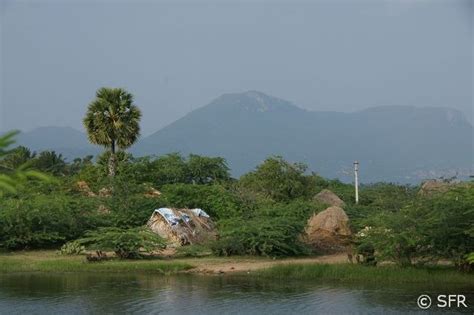 Doch immer noch verhungern dort schwellenland: Bildergalerie mit Bildern von Landschaften in Indien