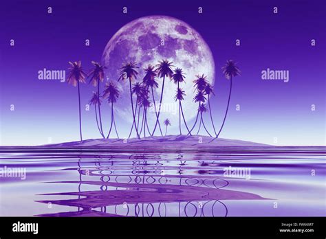 Big Purple Moon Over Coconut Island Elements Of This Image Furnished