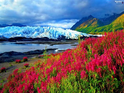 Flowers Mountains River Beautiful Views Wallpapers 1920x1440