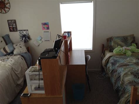 Have a roommate and want privacy try this room layout College Roomate