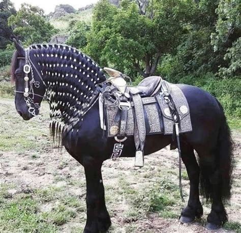 Pin By Tina Sloan On Pin Horse Costumes Horses Medieval Horse