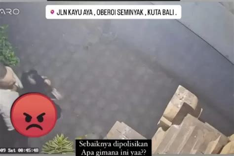 Viral Video Bule Mesum Di Halaman Rumah Warga Bali Ni Luh Djelantik Geram Sentil Pejabat