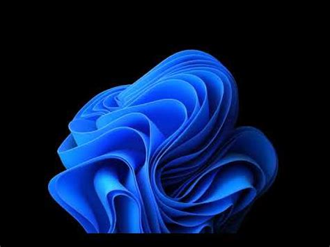Windows 11 Bloom Wallpaper Animation (1080p, 60fps) - YouTube