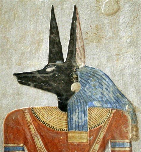 anubis jackal headed deity in the tomb of khaemwaset egyptominia