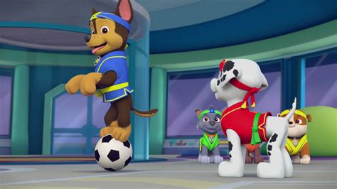 Image Sensei Yumi 32 Paw Patrol Wiki Fandom Powered By Wikia