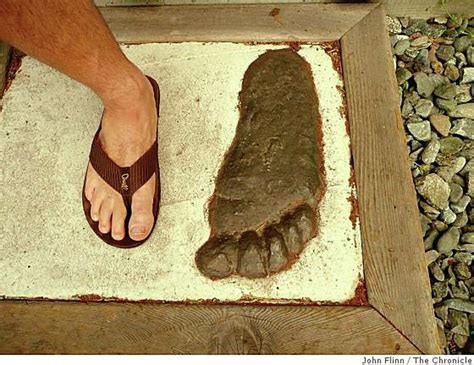 Five Places Walk In The Shoes Of Bigfoot Sfgate