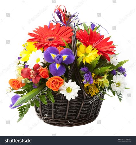 Red Gerbera Flowers Beautiful Bouquet Colorful Stock Photo
