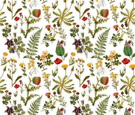 Earn rewards & discounts · shop 1,000+ new arrivals vintage_botanical_wildflowers lg. fabric - redbriarstudio ...