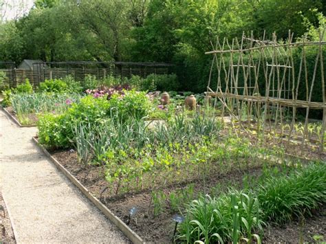 Ultimate Kitchen Garden Planner The Plant Guide