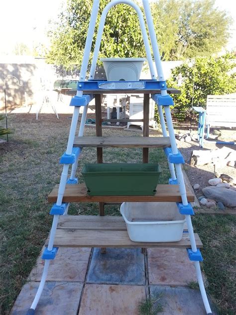 Vegetable gardening for dummies this article is not, yet it does try to explain as much as you need to know that can get you on your way. Use an old ladder from an above ground swimming pool to ...