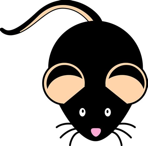 Mouse Black Mice · Free Vector Graphic On Pixabay