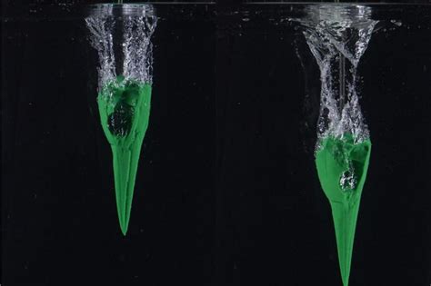 Study Explains How Birds Dive Into Water At High Speeds